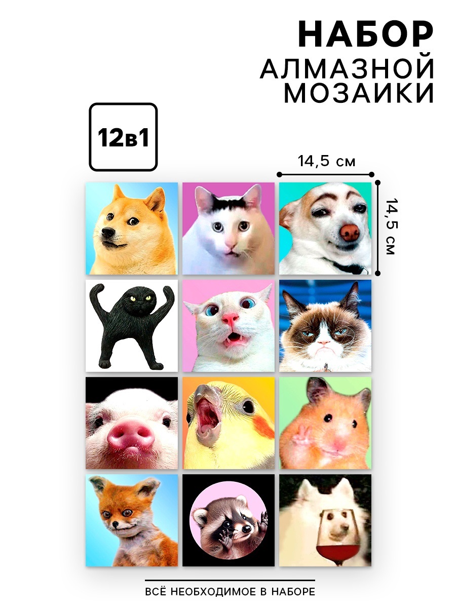 Алмазная мозаика Школа Талантов Мемы - фото 1