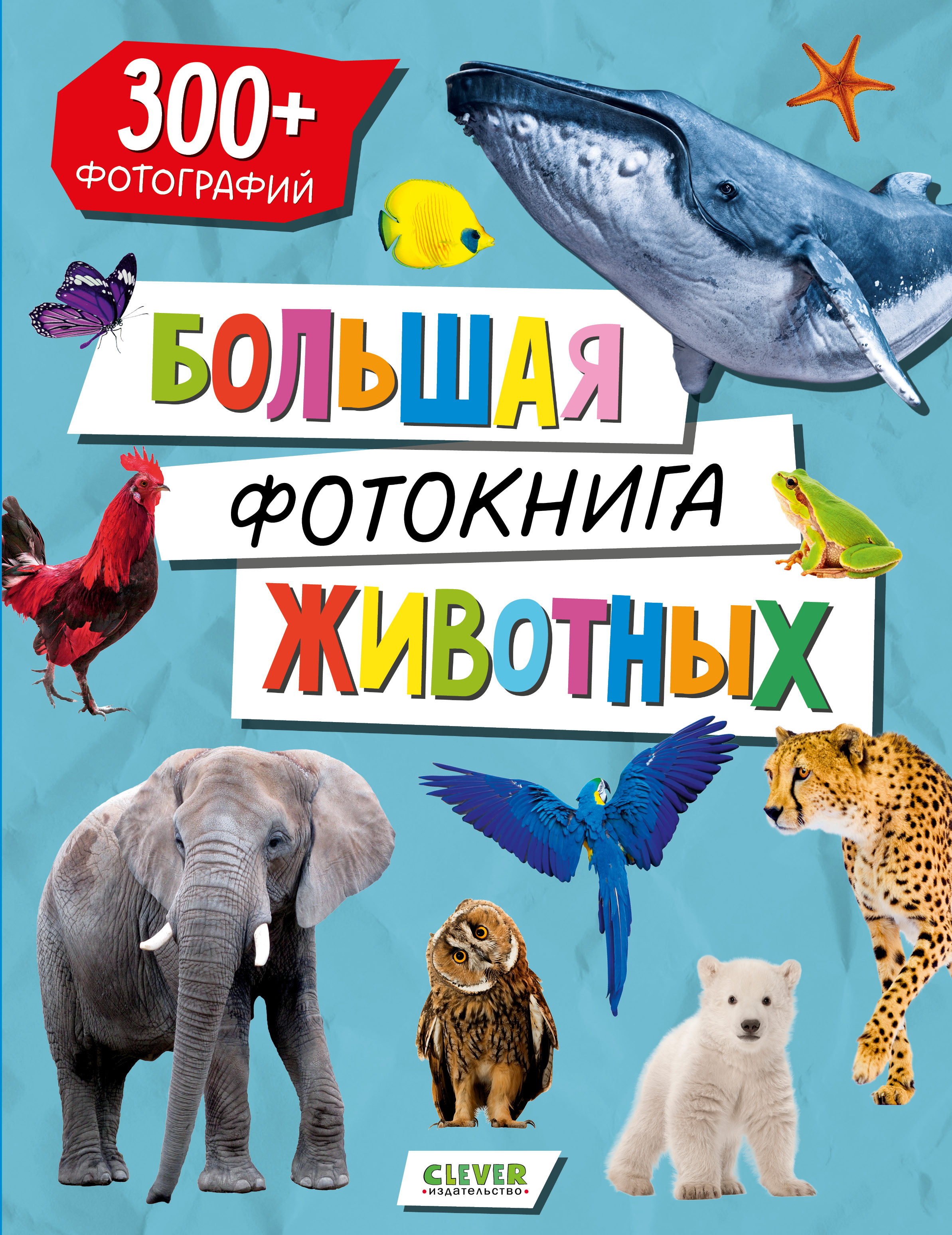 Книга Clever Большая фотокнига животных - фото 1