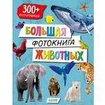 Книга Clever Большая фотокнига животных