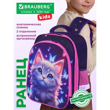 Рюкзак Brauberg любознательный кот