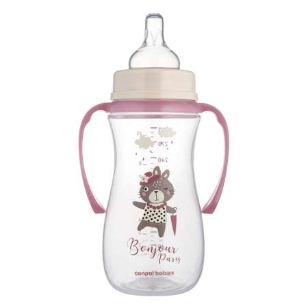 Бутылочка Canpol Babies 300 мл 1 шт. в ассортименте