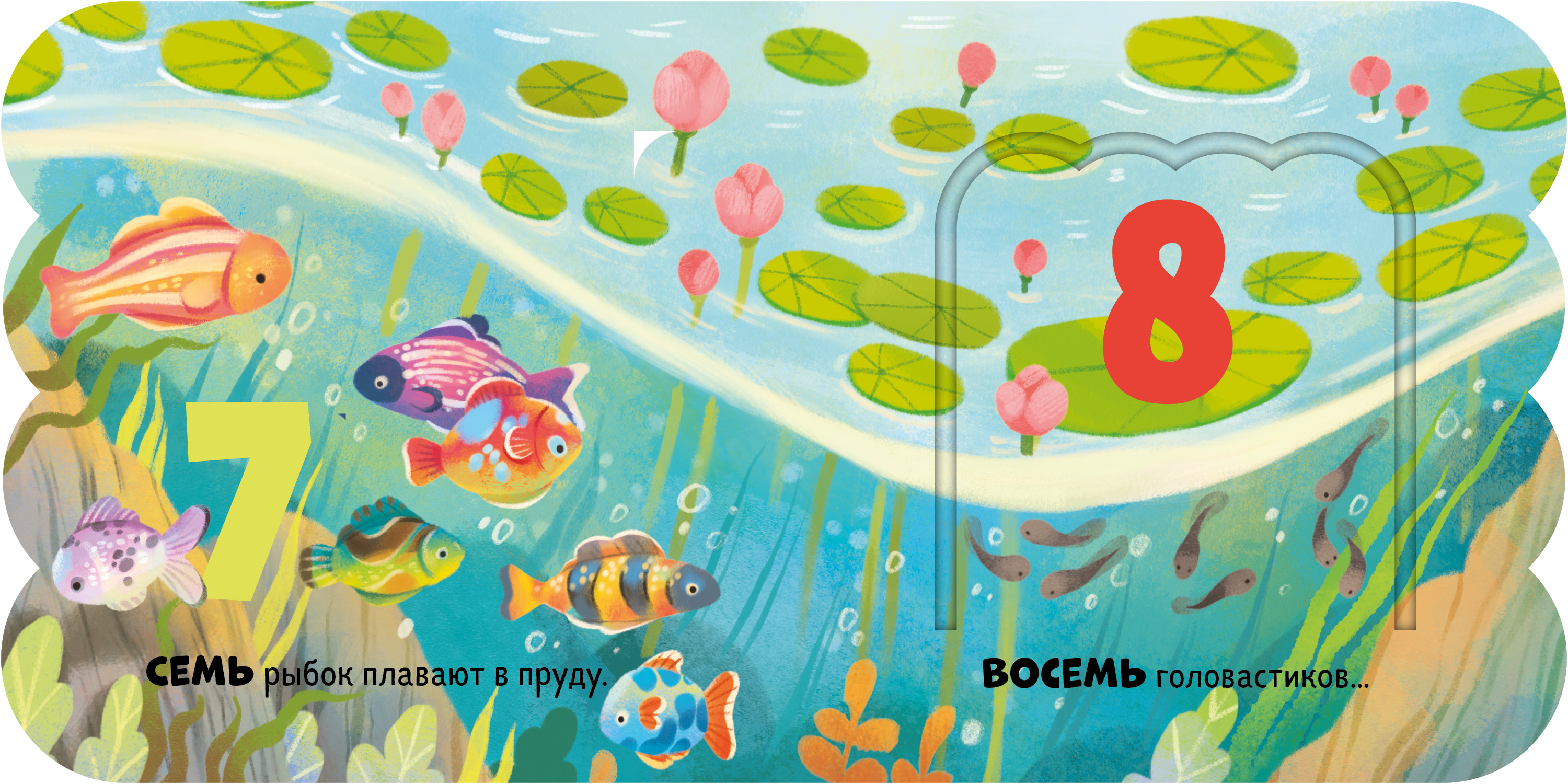 Первый счёт Clever Книжка с окошками - фото 5