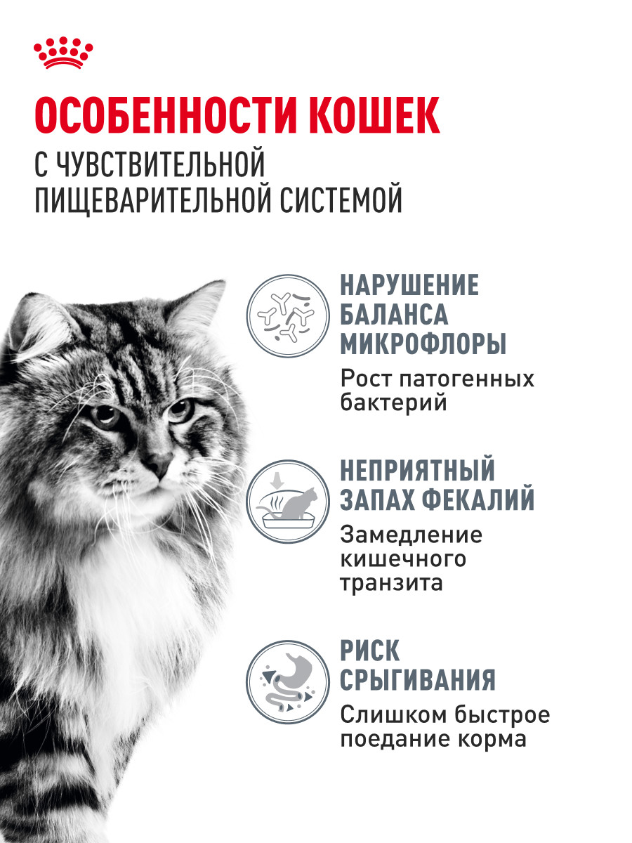 Корм сухой для кошек ROYAL CANIN 0.4кг Digestive care для поддержания здоровья пищеварительной системы - фото 2