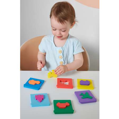 Игрушка ElBascoToys сортер