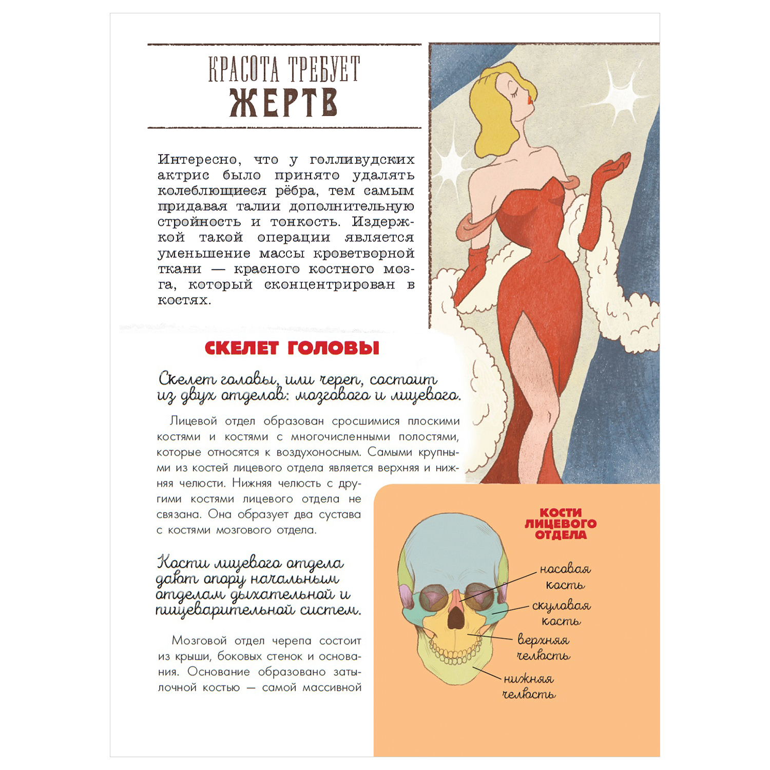 Энциклопедия АСТ Большая наука детям Тело человека - фото 4