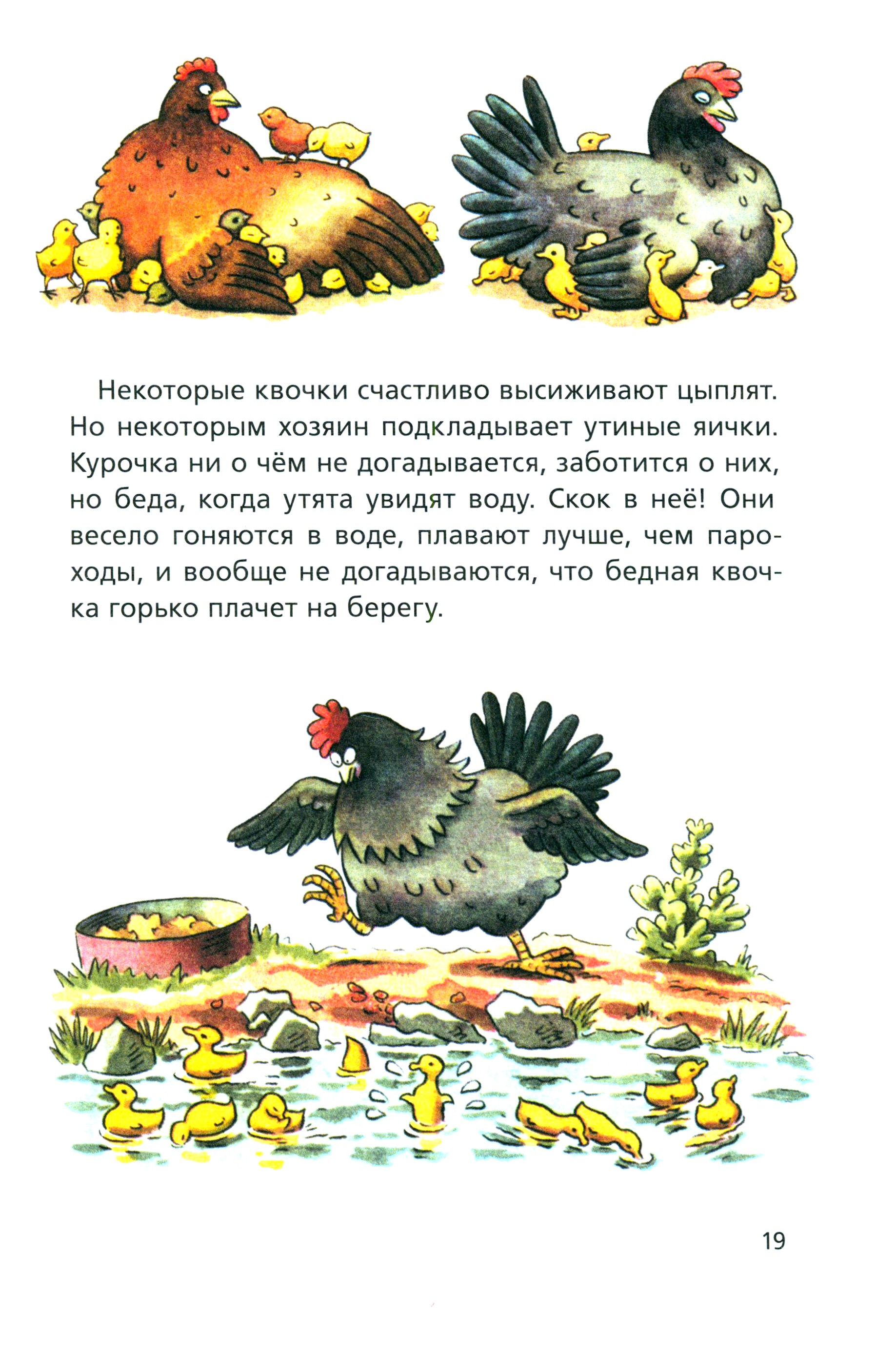 Книга ИД Мещерякова Пёсик в небе - фото 4