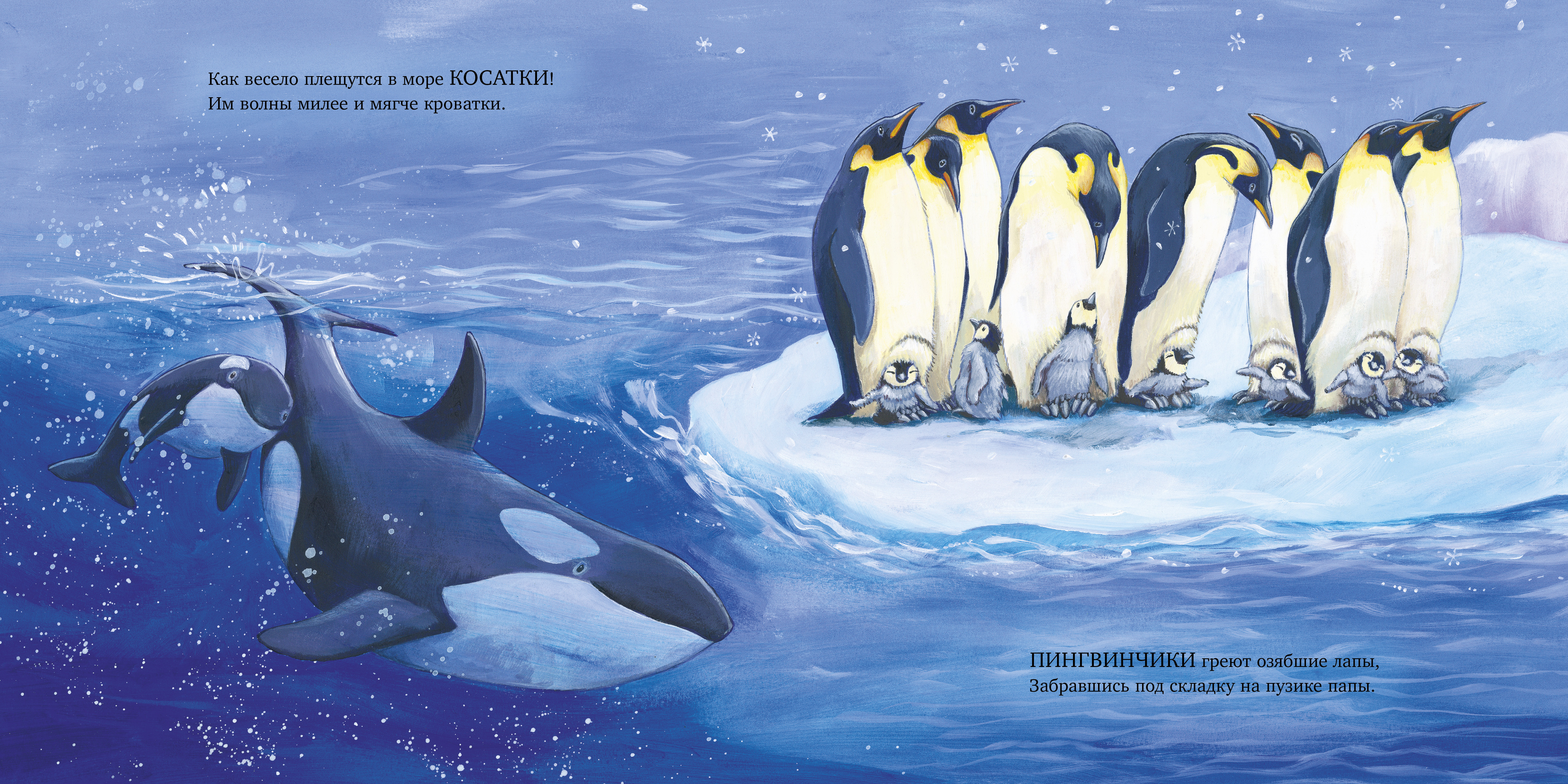 Книга Clever Книжки-картинки - фото 4