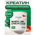 Креатин 250 г. SUPPTRUE MONOHYDRAT со вкусом клубники
