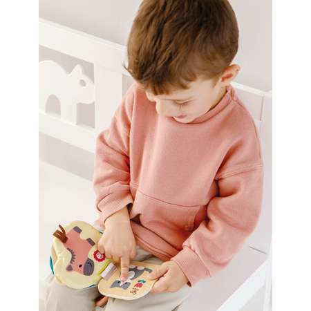 Игрушка Hape книжка