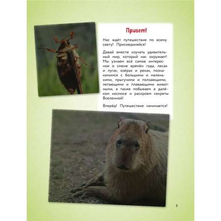 Книга Эксмо Обо всем на свете Большая энциклопедия для маленьких