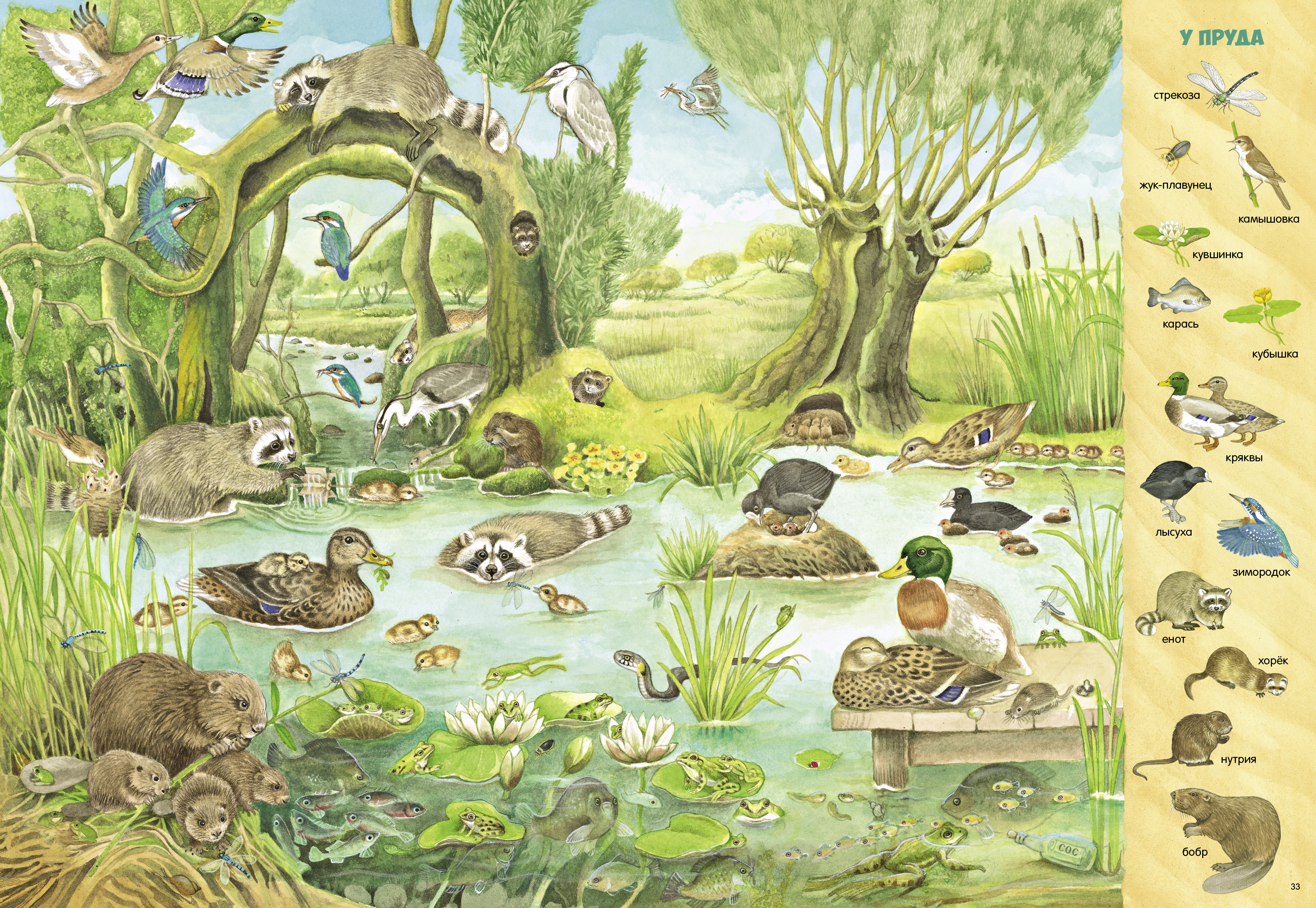 Книга Clever Найди и покажи - фото 2