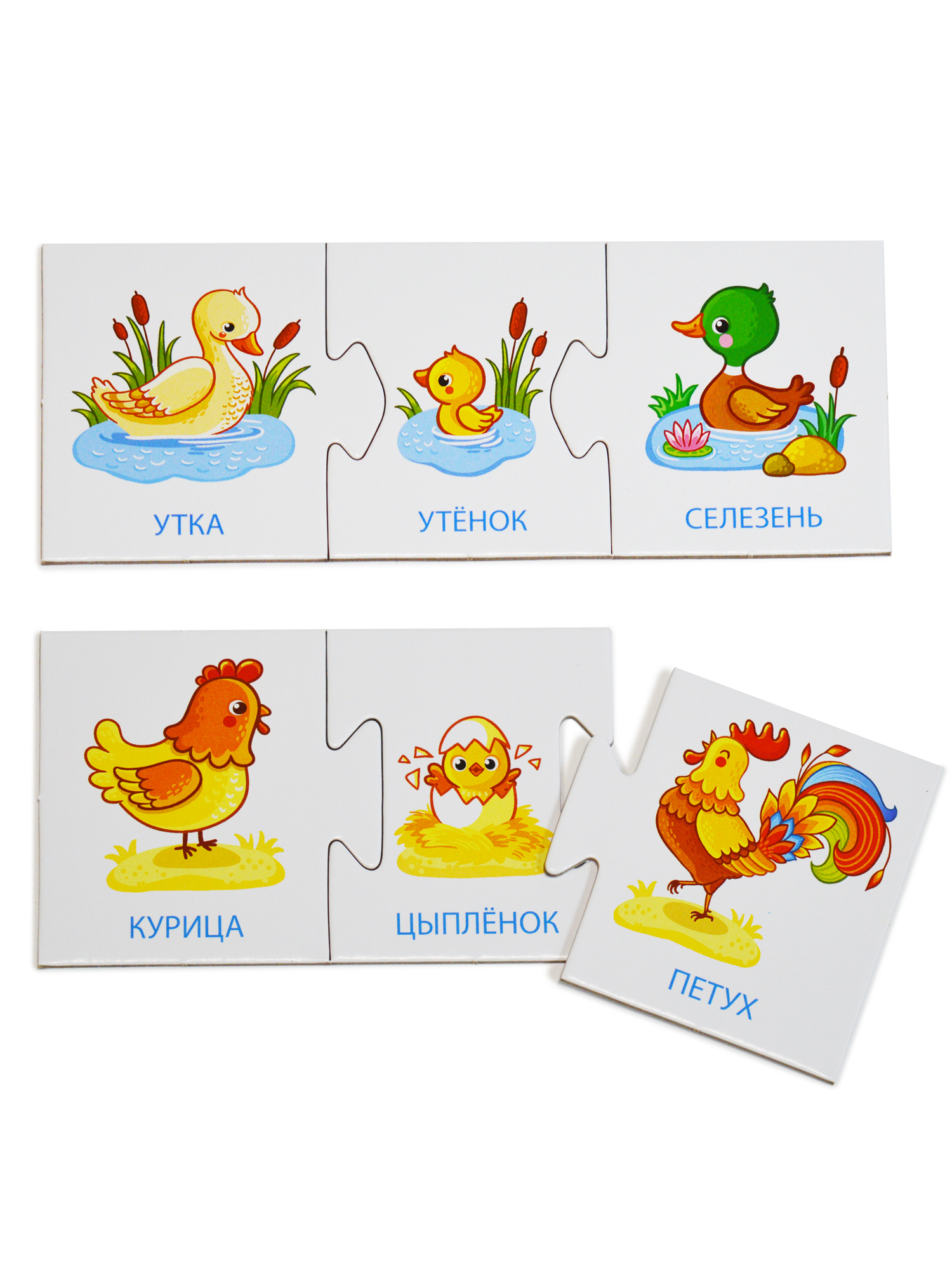Игра развивающая Дрофа-Медиа Семья 4209 - фото 7