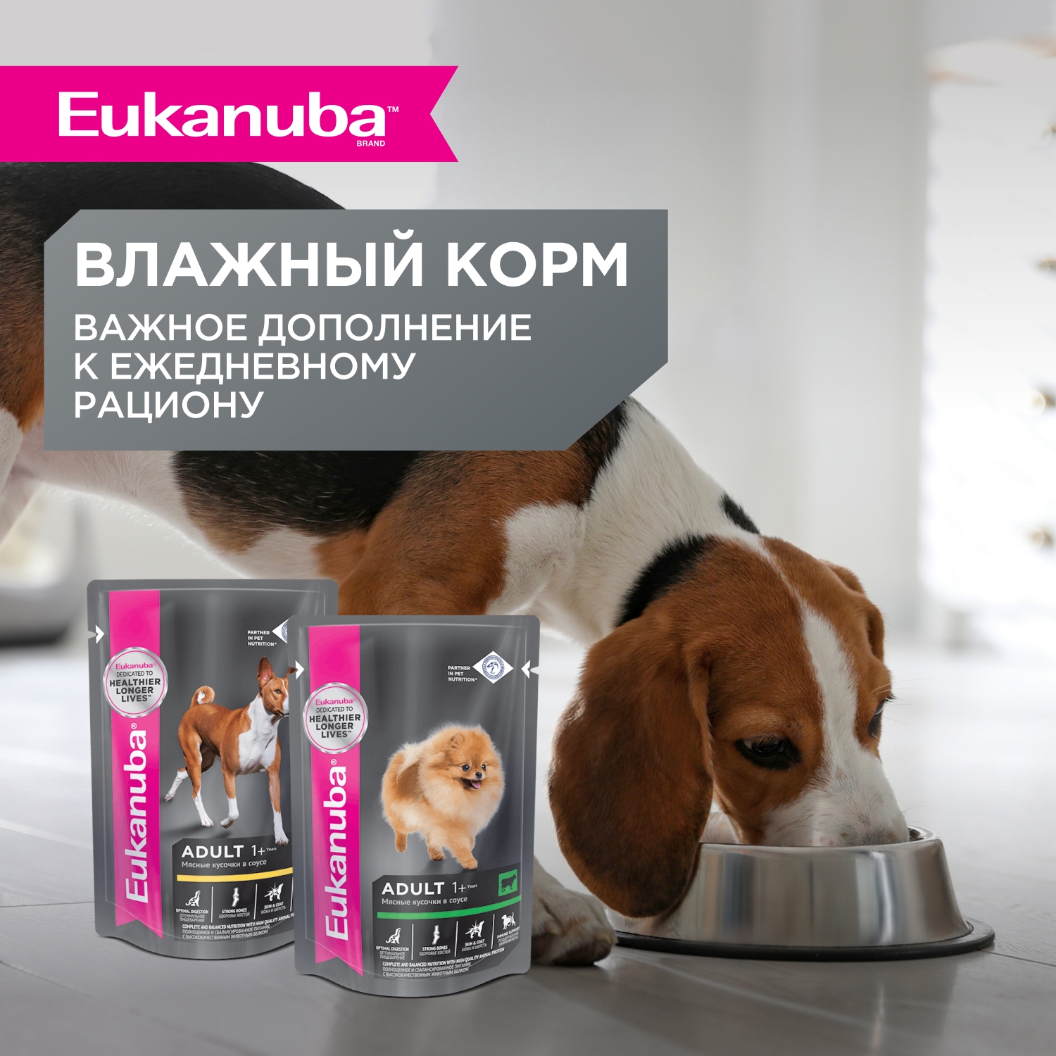 Корм Eukanuba Dog 3кг для взрослых собак мелких пород сухой - фото 7