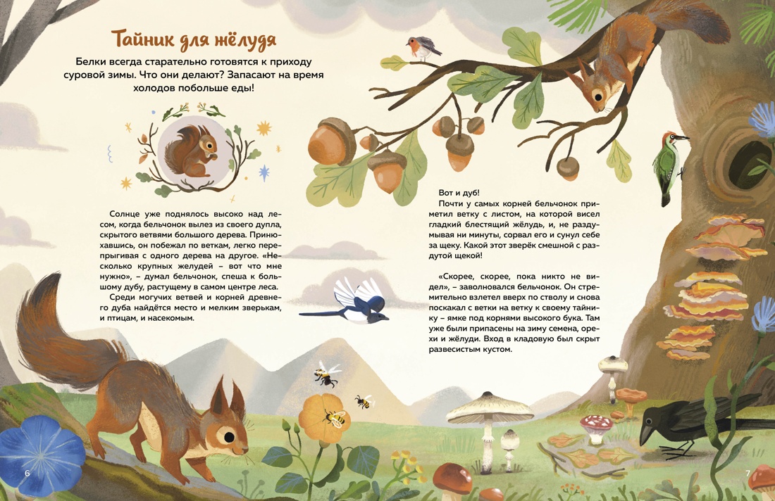 Книга Махаон Кто живёт в лесу Иллюстрированный атлас животных - фото 11