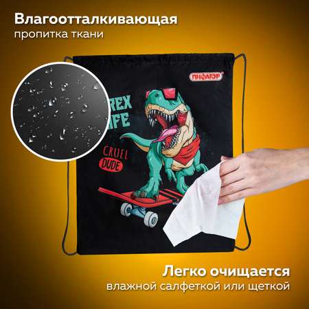 Сумка Пифагор