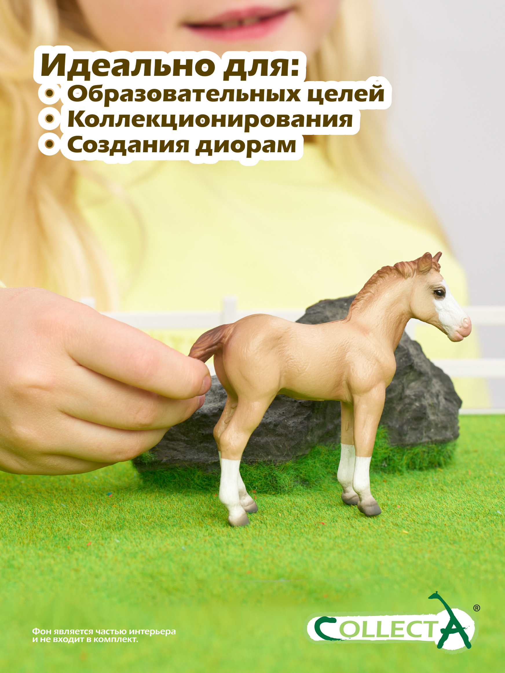 Фигурка Collecta Жеребёнок Кватерхорс - фото 6