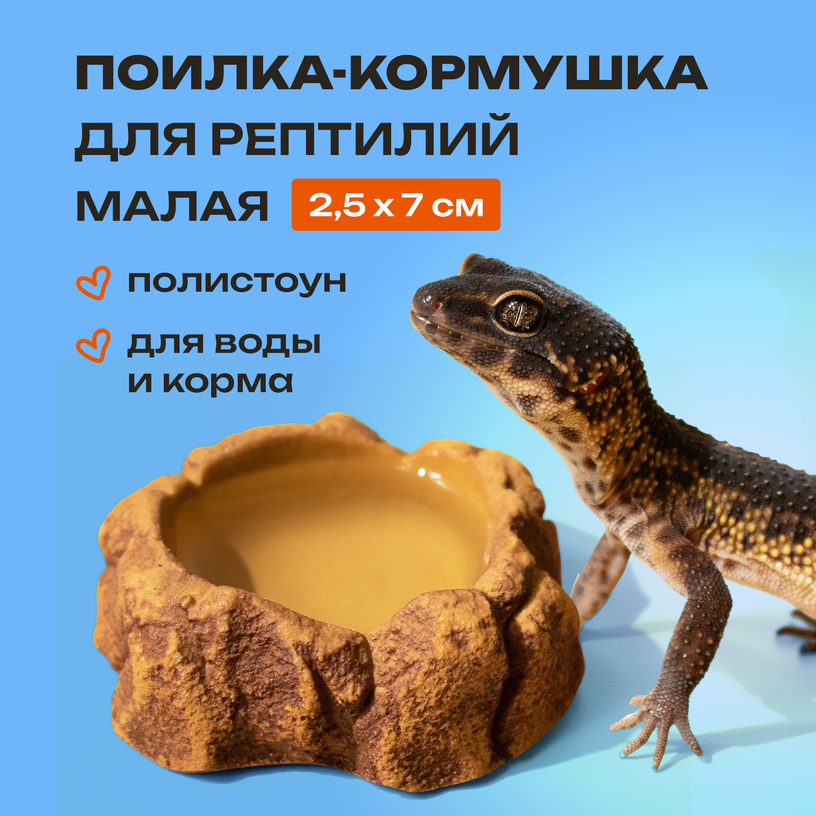 Кормушка поилка маленькая PETPOWER для ящерицы и эублефара - фото 1