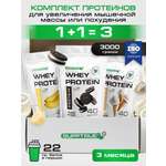 Спортивное питание SUPPTRUE Whey protein
