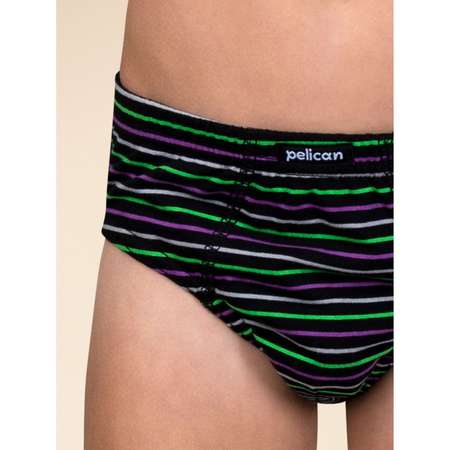 Трусы 3 шт Pelican