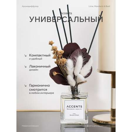 Диффузор с сухоцветами в Премиум тубусе Accents Lime, Mandarin & Basil