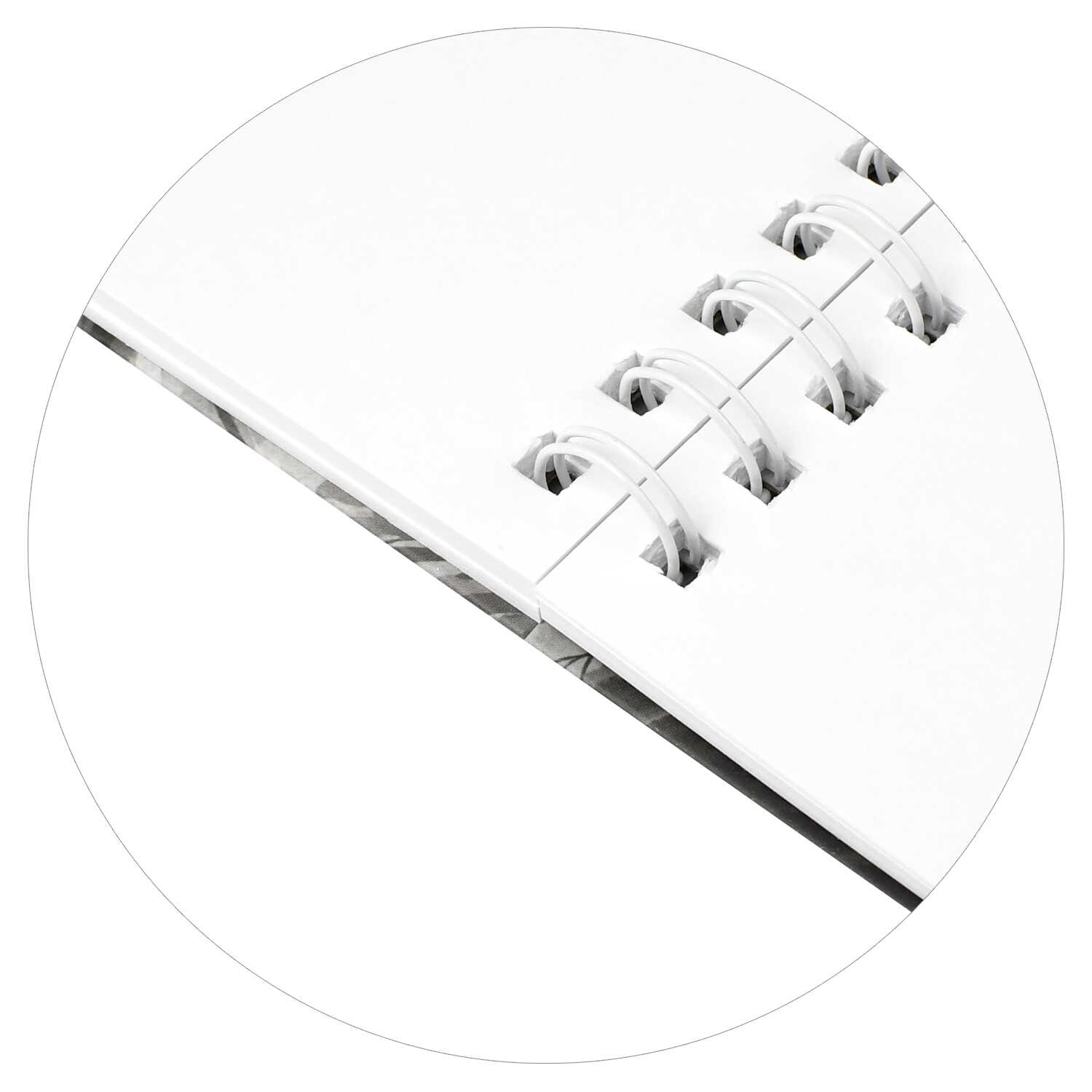 Скетчбук Феникс + А5 80 лист. - фото 7