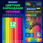Карандаши цветные Brauberg 12 шт.