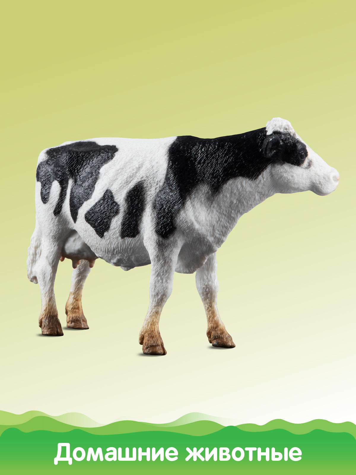 Игровой набор DARWIN Домашние животные 6шт - фото 6