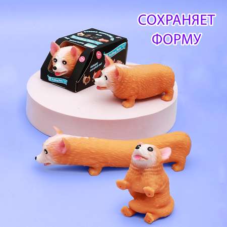 Сквиш ЭВРИКА