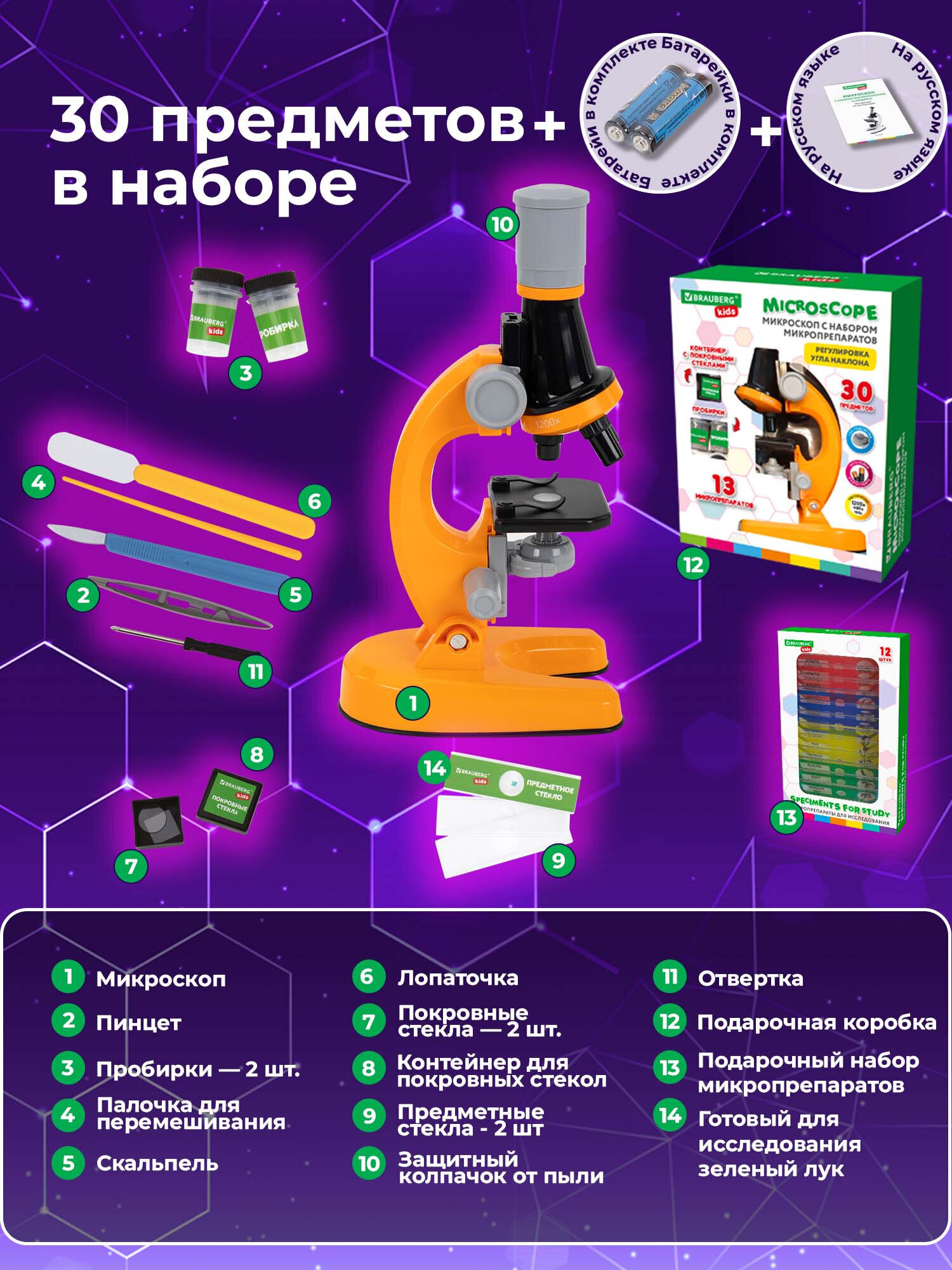 Микроскоп Brauberg - фото 3