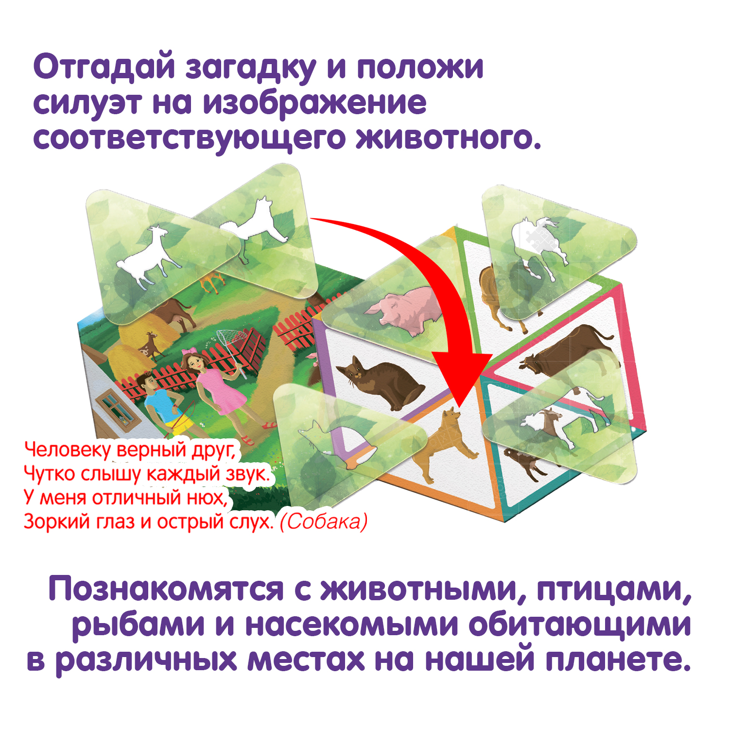 Настольная игра Bondibon лото Приключения Пети и Оли - фото 2
