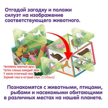 Настольная игра Bondibon лото Приключения Пети и Оли