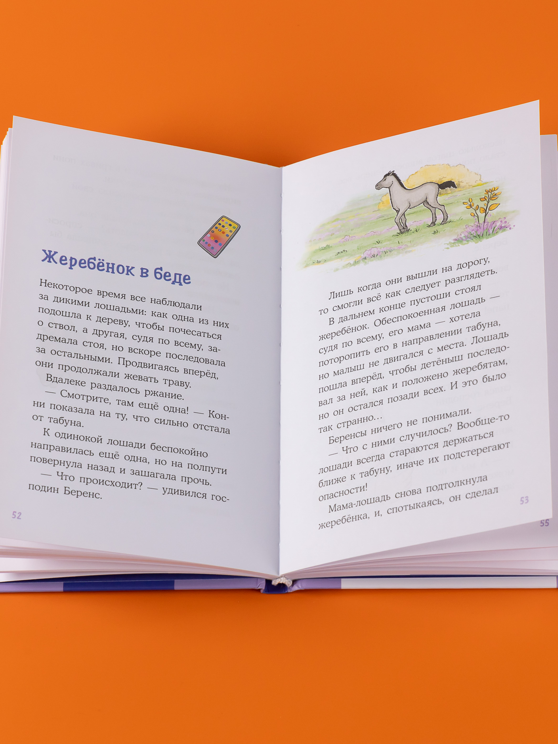 Книга Альпина. Дети Конни и спасение диких лошадей - фото 9