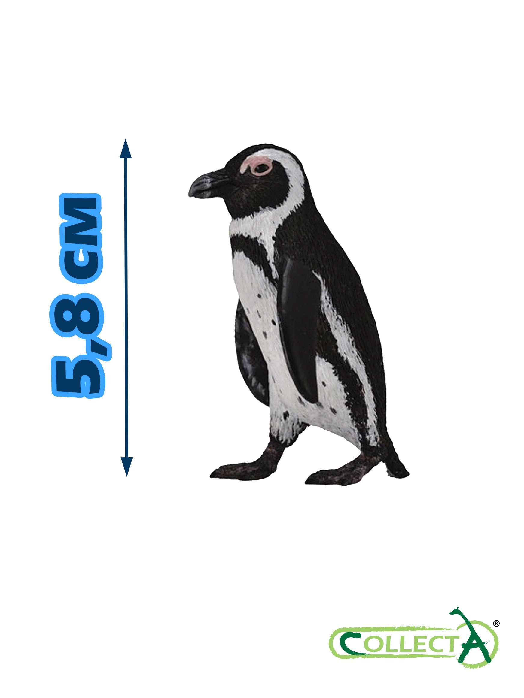 Фигурка Collecta Южноафриканский пингвин - фото 2
