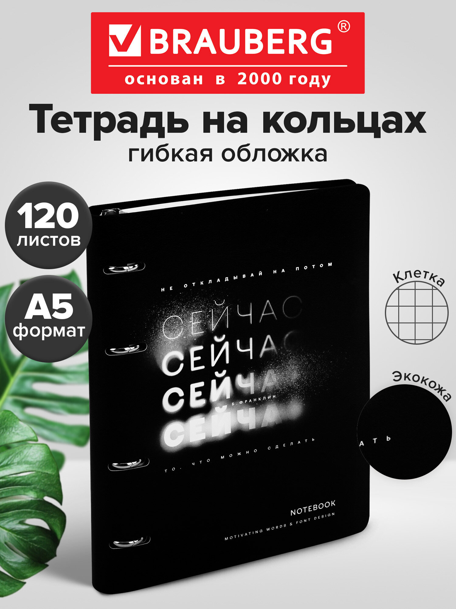Тетрадь со сменным блоком Brauberg клетка 120 лист. - фото 1