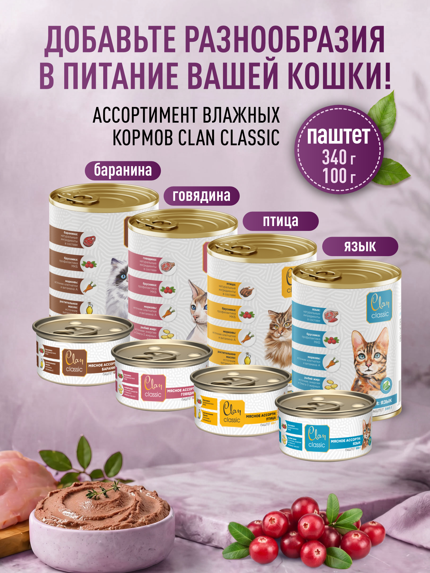 Корм для котят сухой Clan Classic Kittens 36/19 курица с индейкой 400г - фото 8