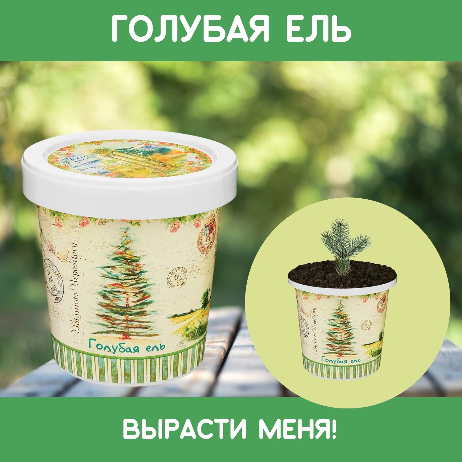 Набор для выращивания Rostok Visa - фото 1