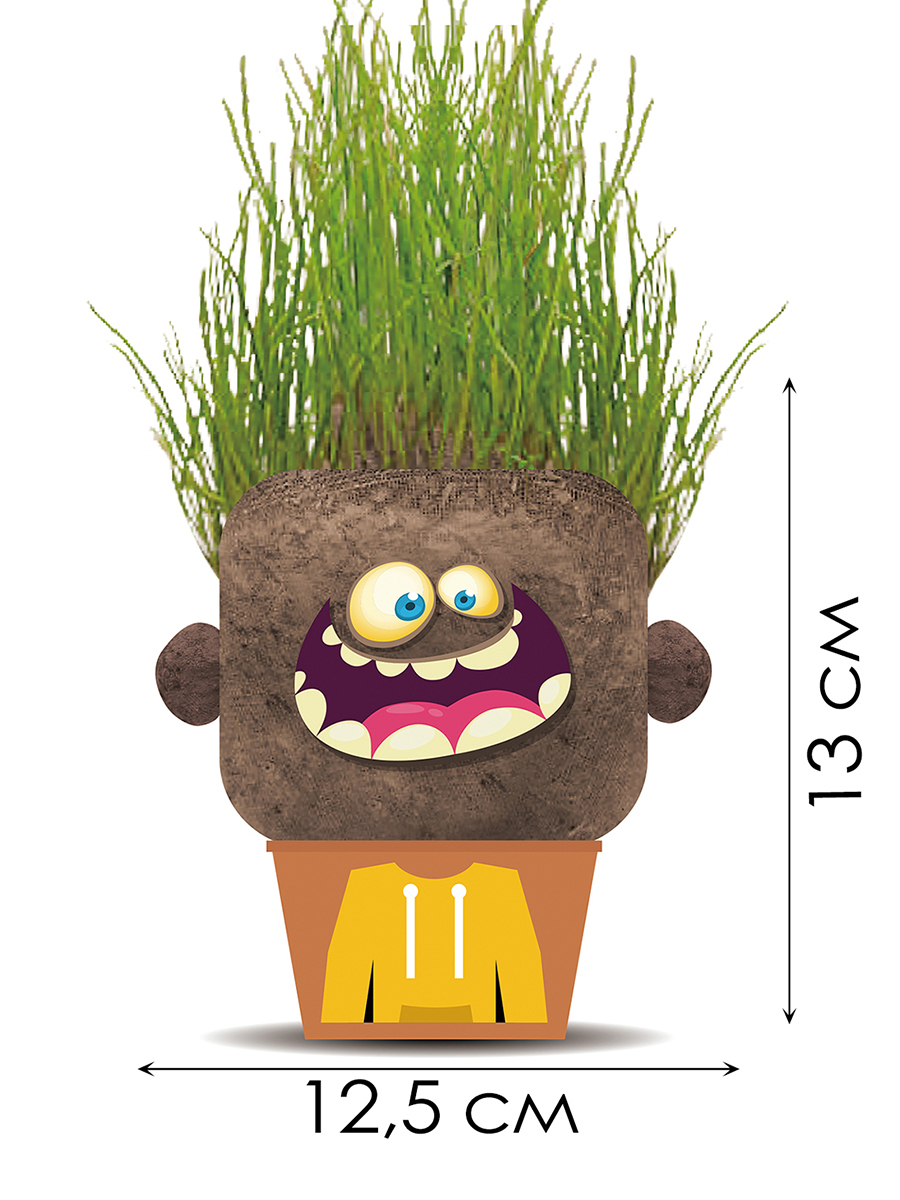 Набор для выращивания Hape - фото 2