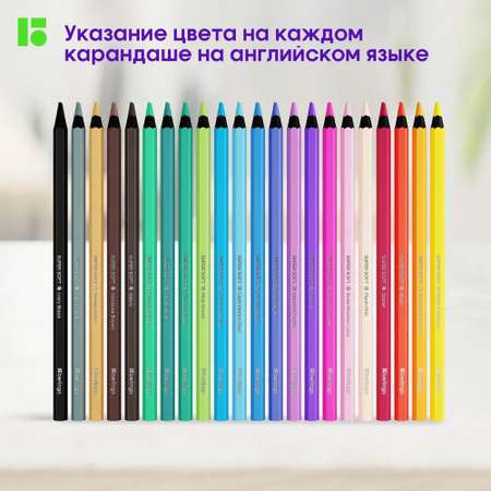 Карандаши цветные BERLINGO 24 шт.