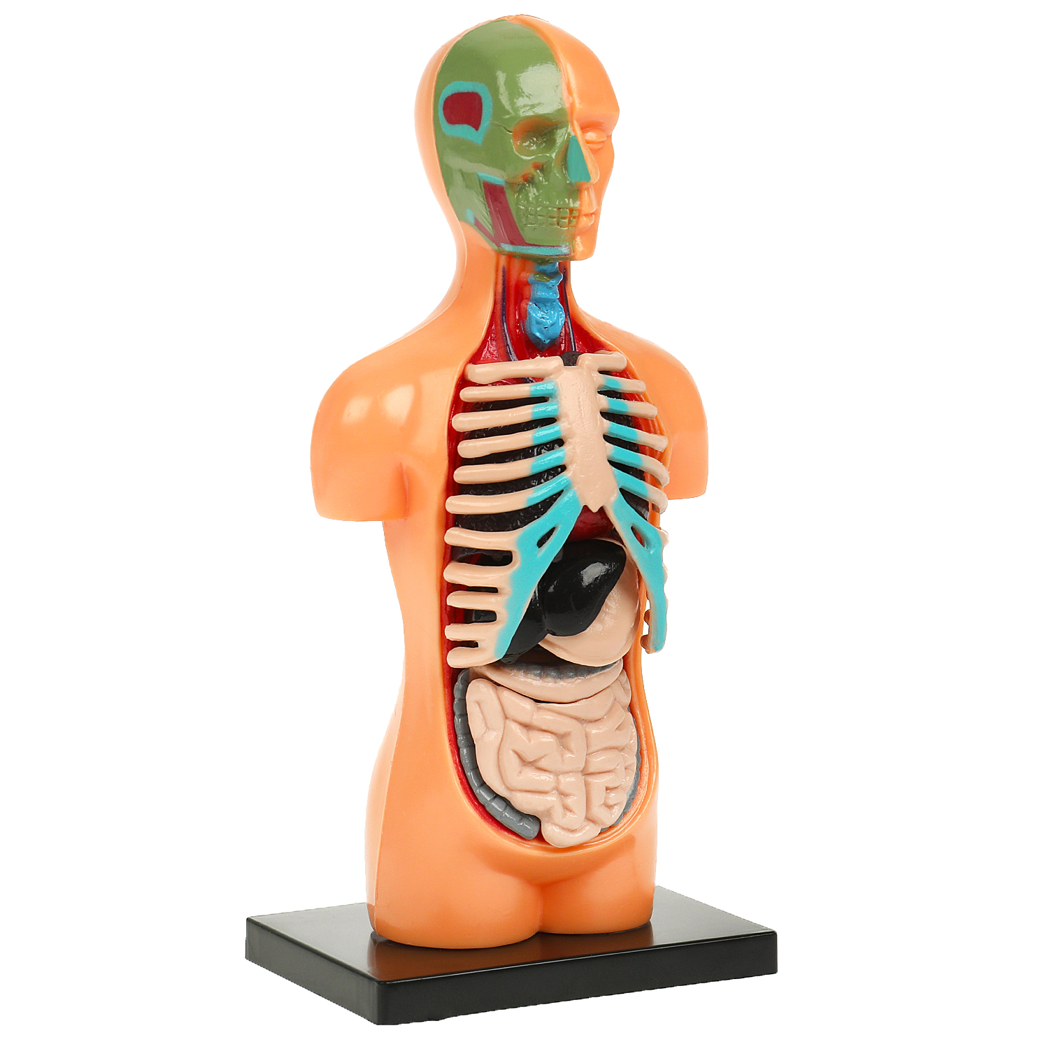 Настольная игра Играем вместе Тело человека - фото 3