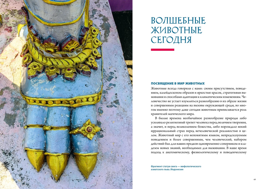 Книга КОЛИБРИ Фантастические твари мифические существа Сборный комплект в коробе из 2 х книг - фото 10
