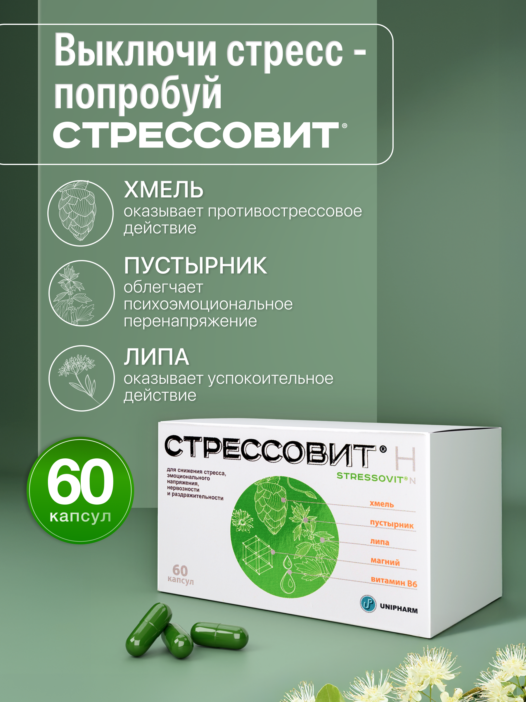 БАД Стрессовит Н 60 капсул - фото 2