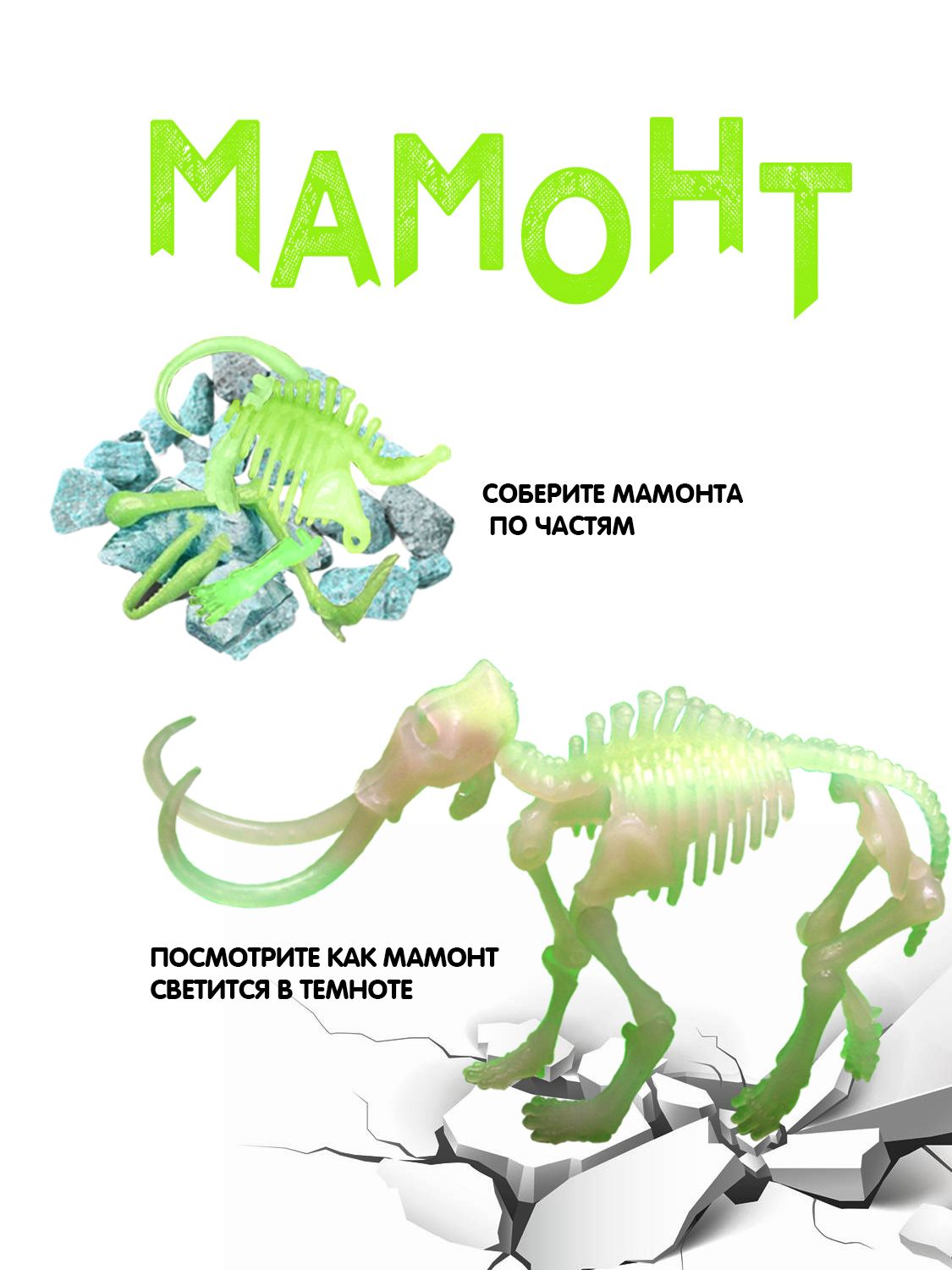 Набор для раскопок Bondibon Мамонт скелет светящийся - фото 4