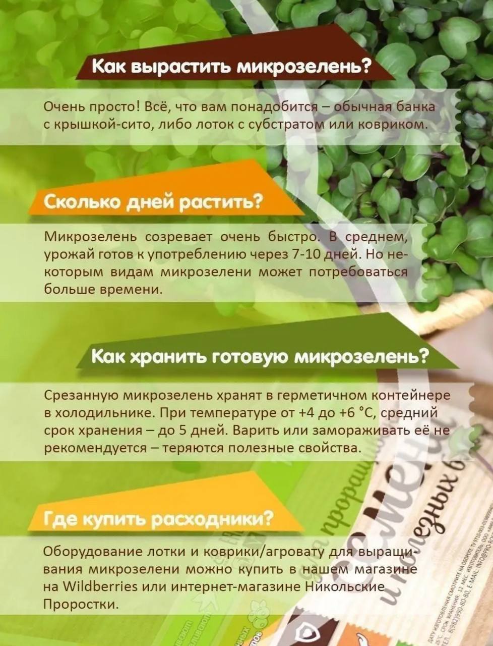 Семена для микрозелени MegaMedia кунжут черный - фото 8