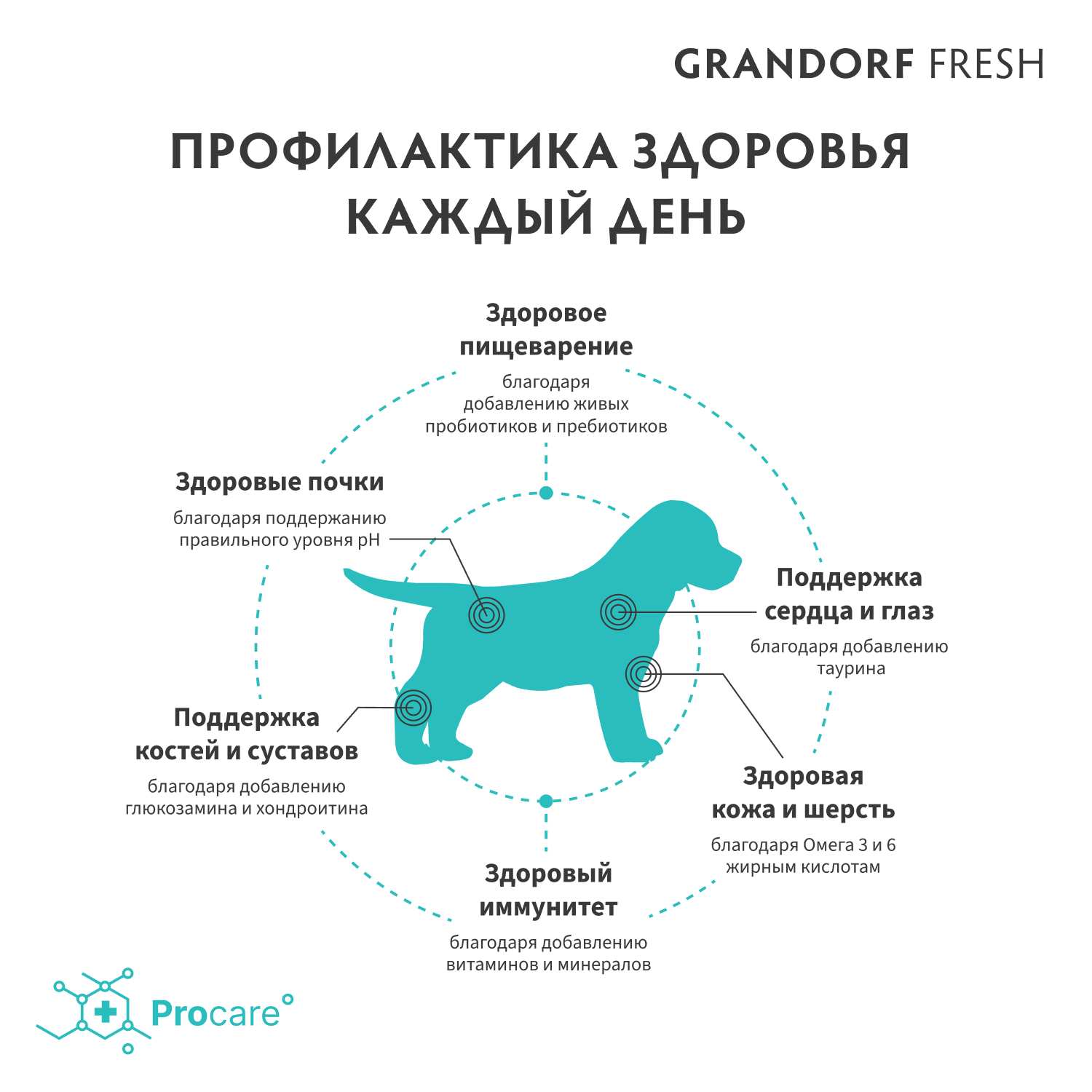 Корм для щенков Grandorf Fresh Dog Puppy Lamb/Sweet Potato Свежее мясо ягненка 1кг - фото 7