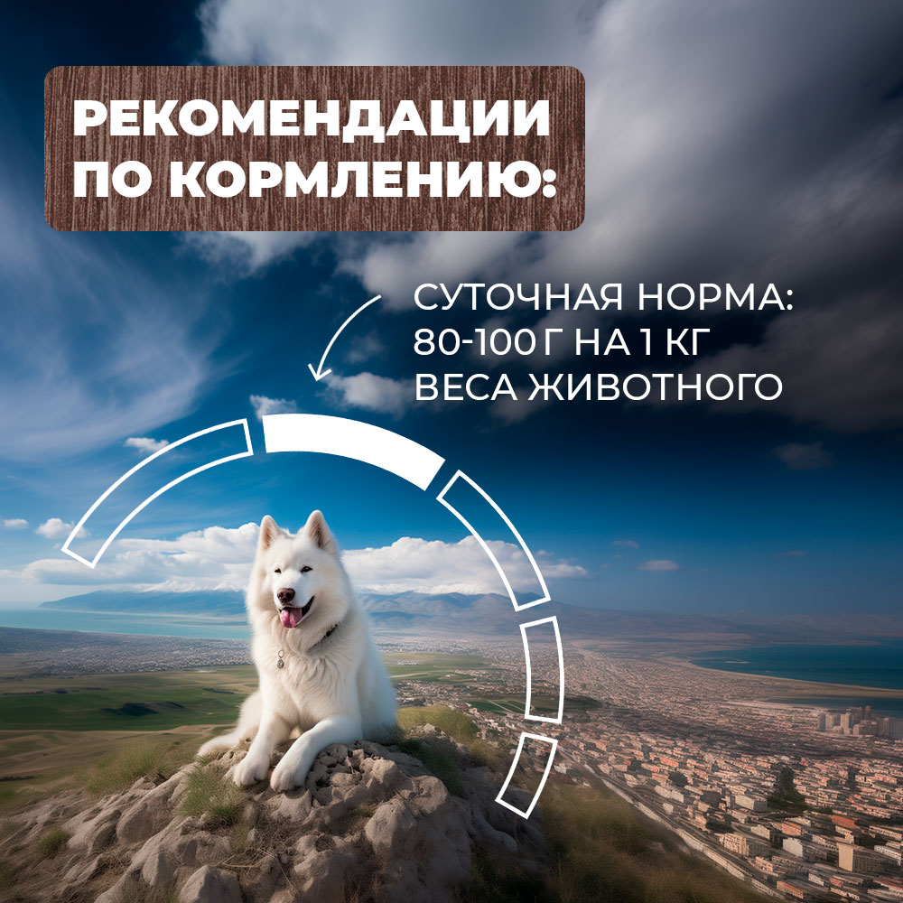 Корм для собак Родные корма По-хански говяжьи кусочки в соусе 410г - фото 5