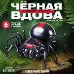 Конструктор Эврики Чёрная вдова 43 дет.