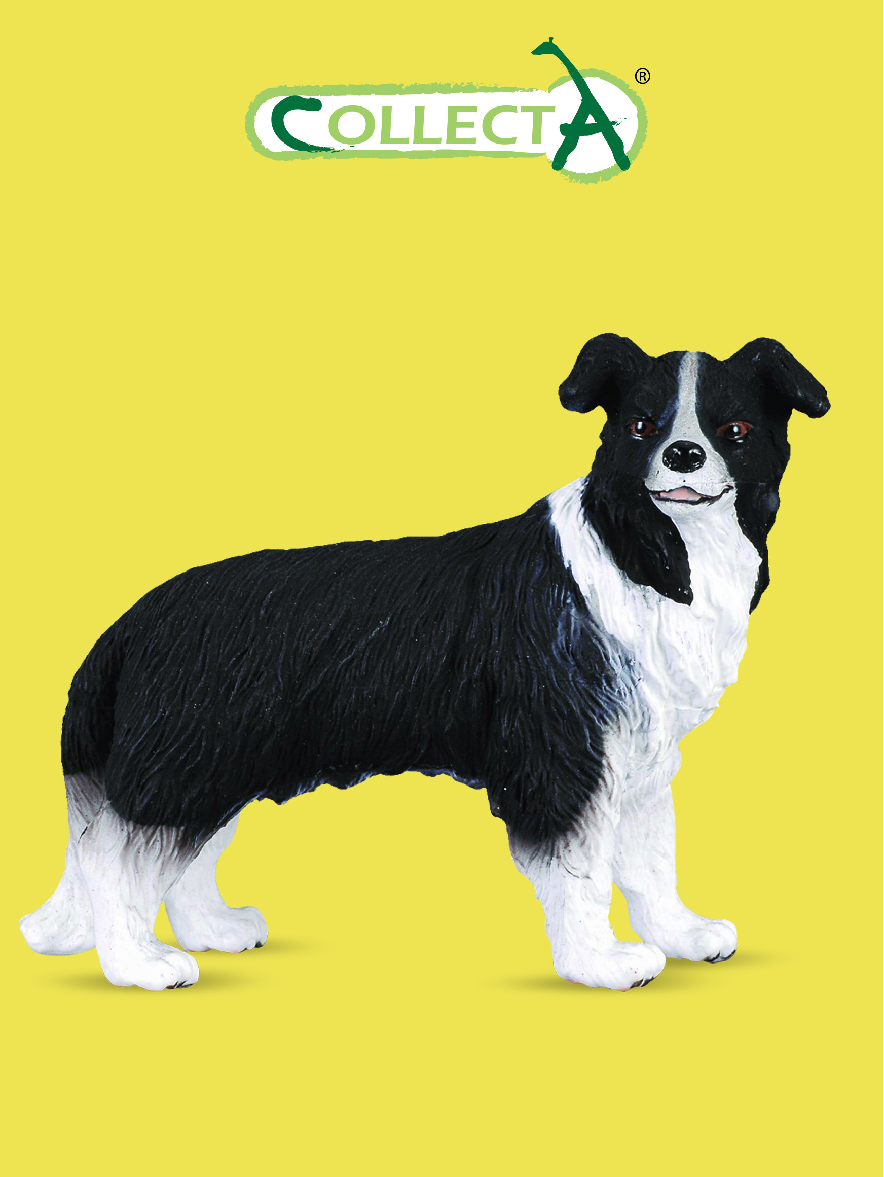 Фигурка Collecta Собака Бордер-колли - фото 1