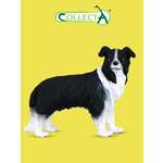 Фигурка Collecta Собака Бордер-колли