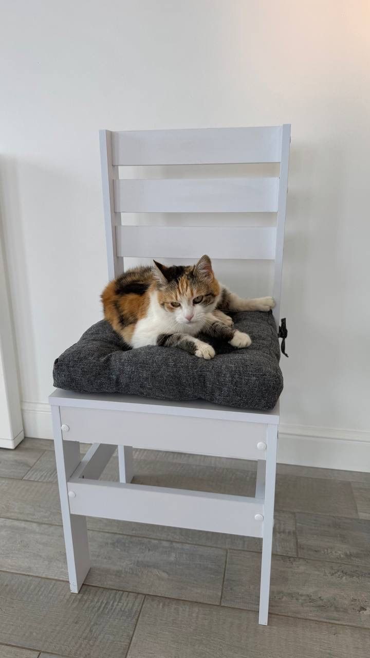 Стул New Victoria - фото 10