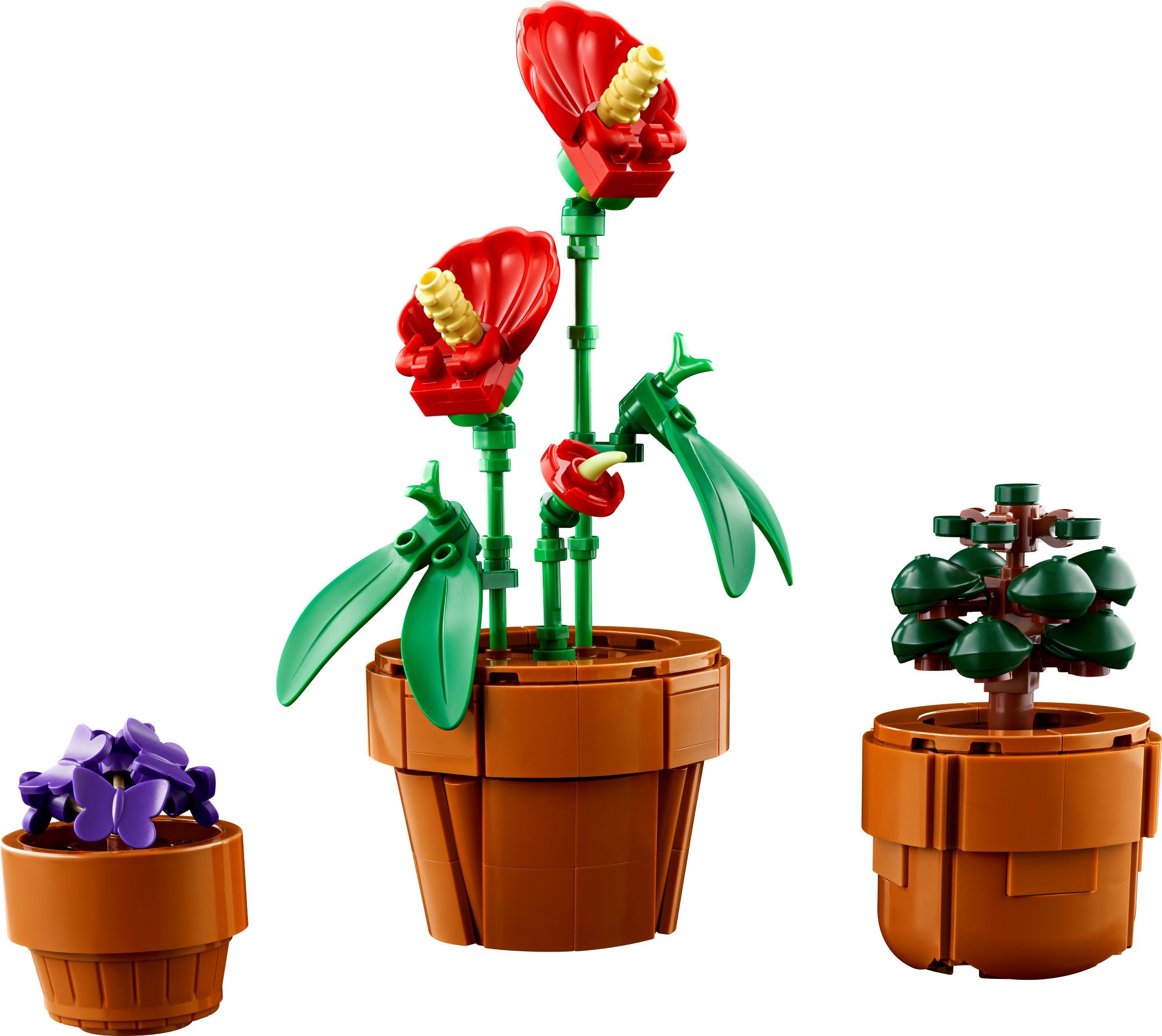 Конструктор LEGO Botanicals 10329 758 дет. - фото 3